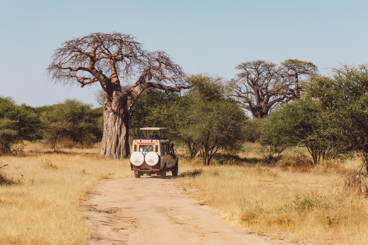 Maasai Mara National Reserve 3