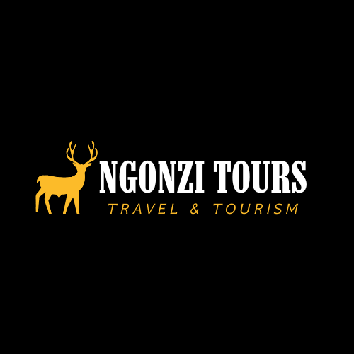 Ngonzi Tours
