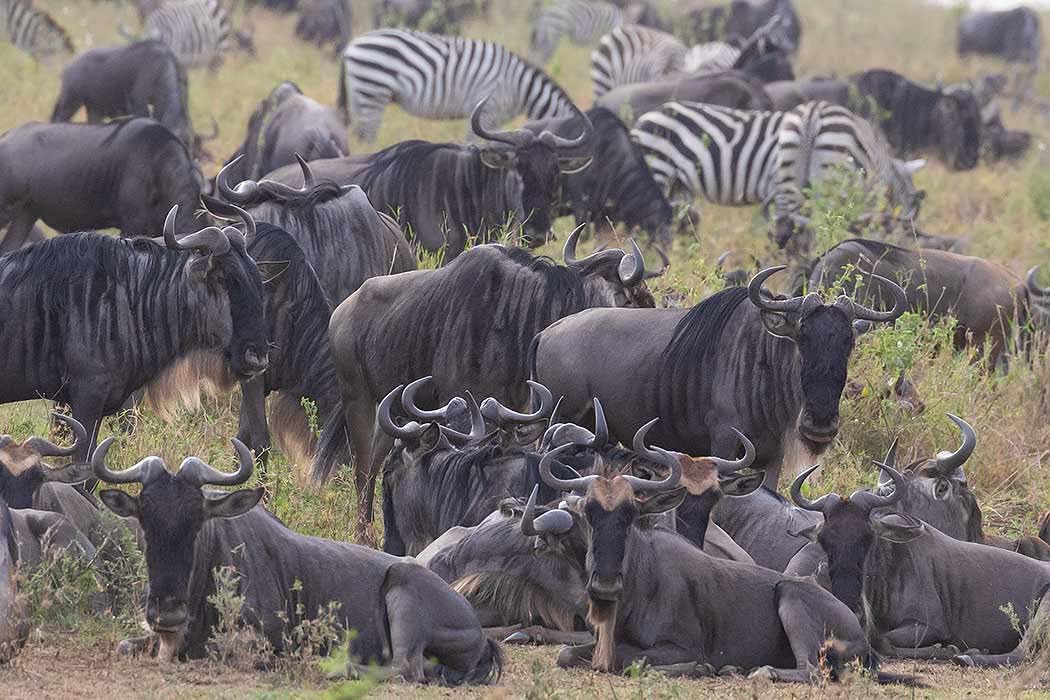 Marangu Route 5 Days