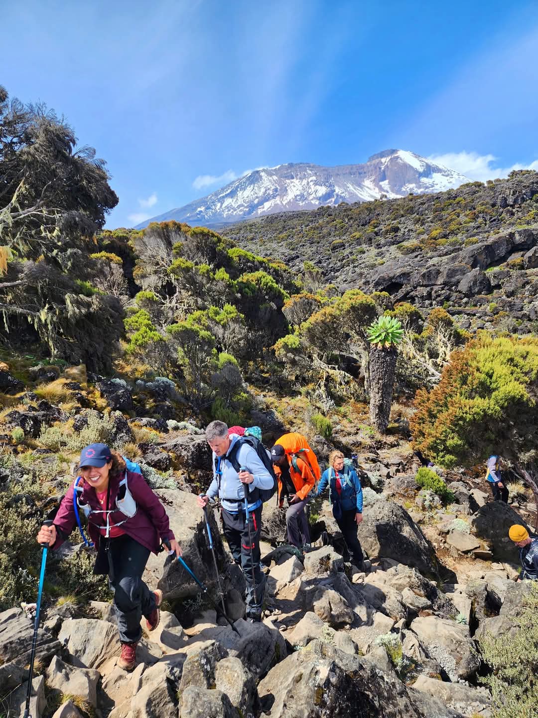 Ngorongoro Safari 2 Days