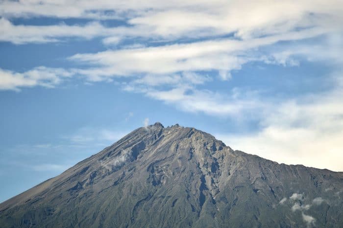 Serengeti Safari 3 Days