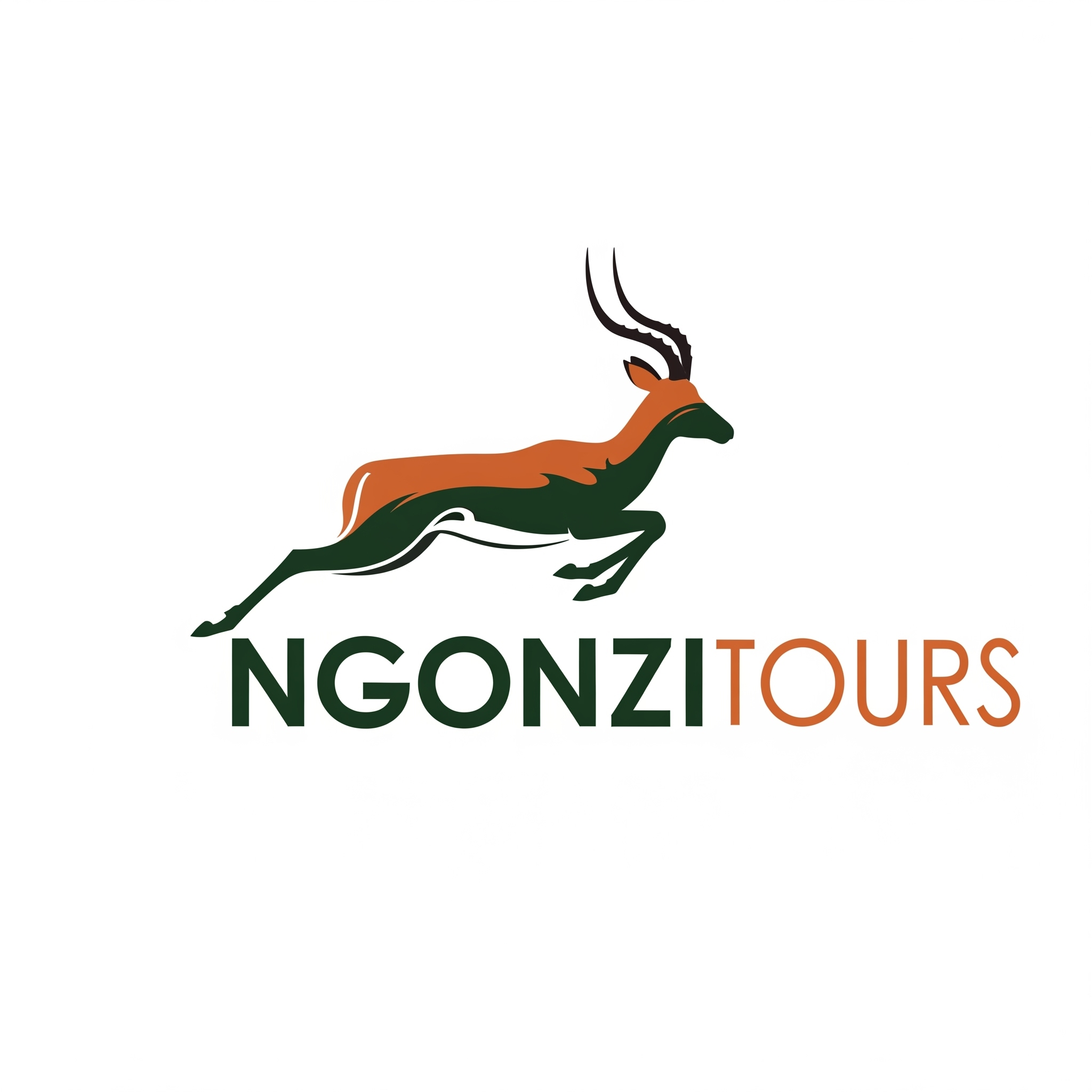 Ngonzi Tours