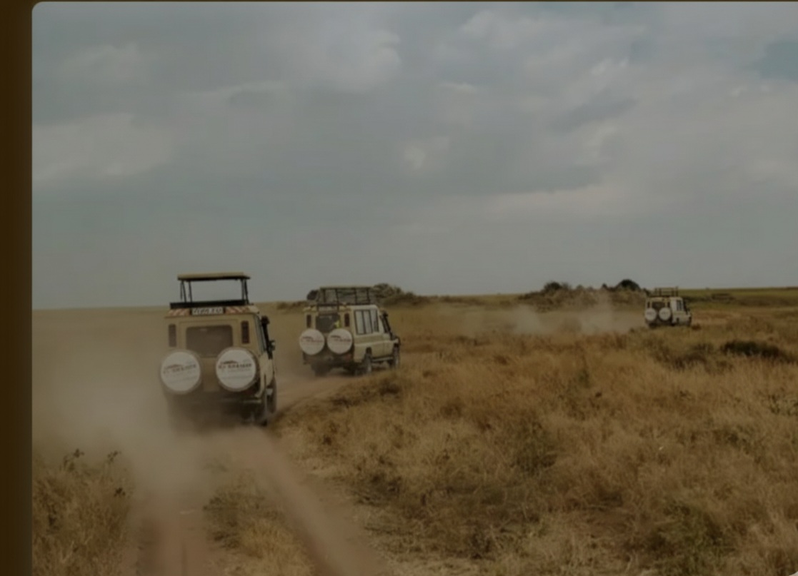 Luxury Accommodation