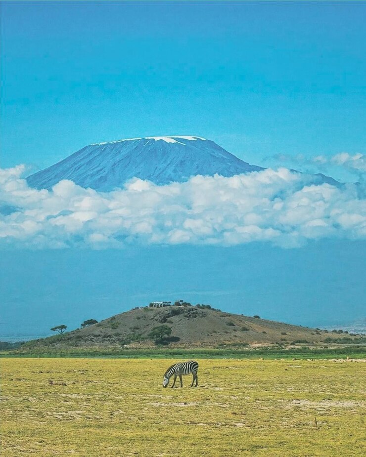 Kilimanjaro