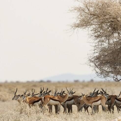 Mount Meru Momela Route 3 days