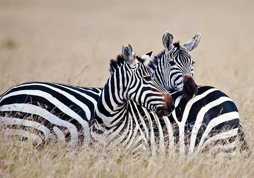 Arusha National Park